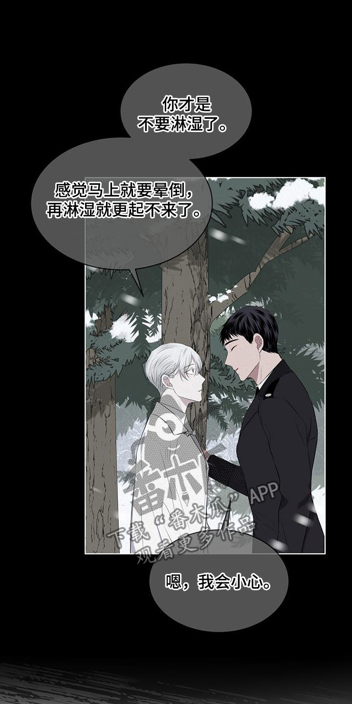 《森海之恋》漫画最新章节第68章：早已决定免费下拉式在线观看章节第【13】张图片