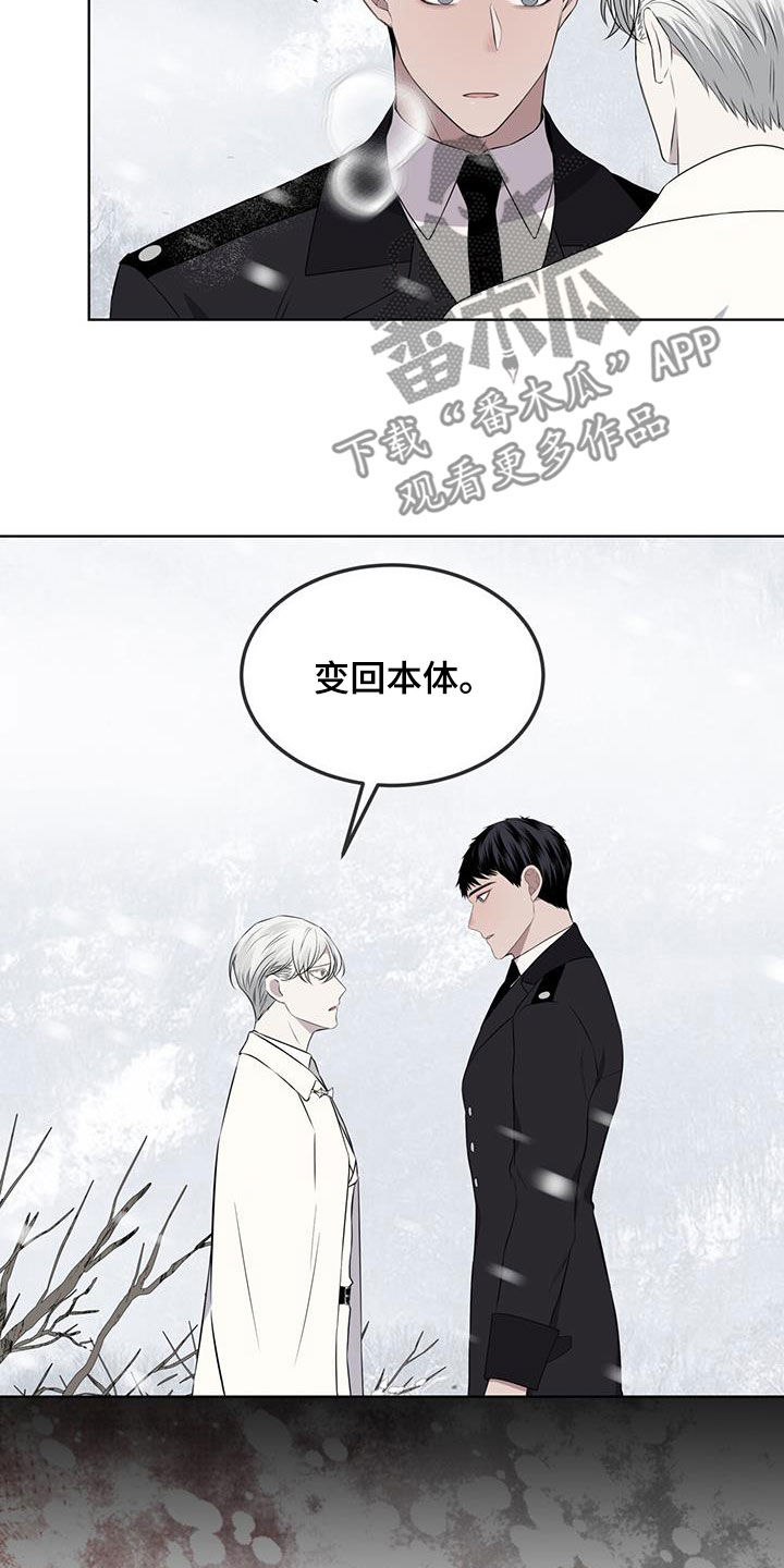 《森海之恋》漫画最新章节第69章：亲自去问免费下拉式在线观看章节第【14】张图片