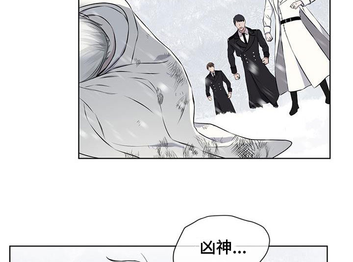 《森海之恋》漫画最新章节第72章：危急免费下拉式在线观看章节第【14】张图片