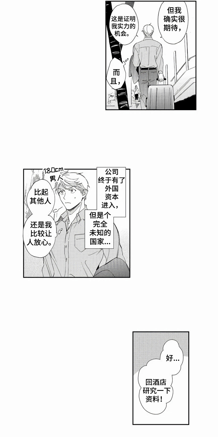 《琥珀色新娘》漫画最新章节第1章：出差免费下拉式在线观看章节第【9】张图片