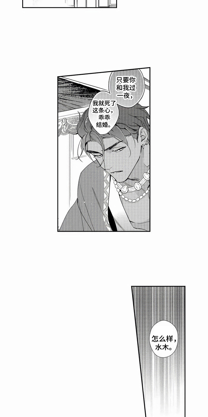 《琥珀色新娘》漫画最新章节第4章：机会免费下拉式在线观看章节第【9】张图片