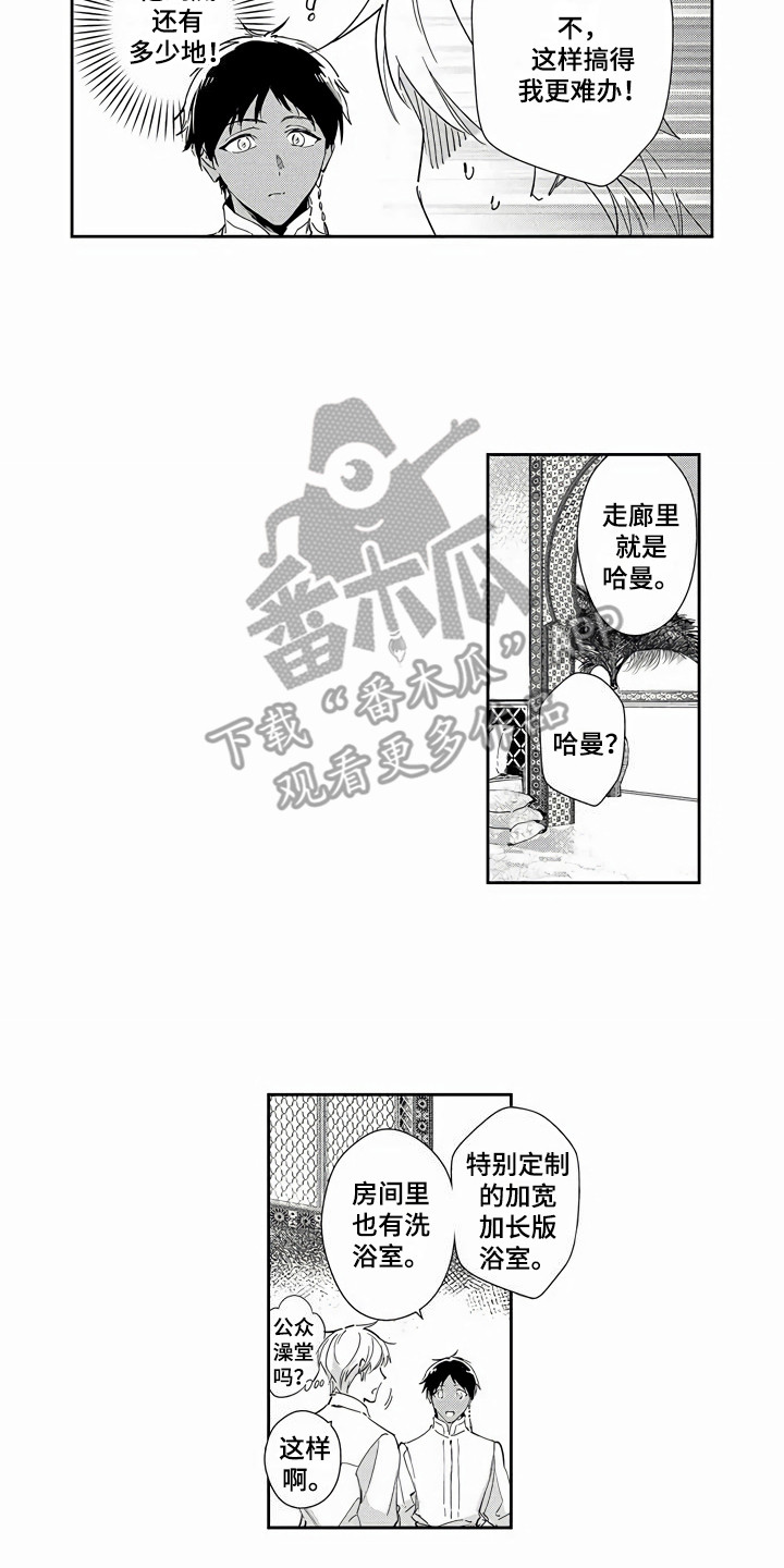 《琥珀色新娘》漫画最新章节第13章：就是本人免费下拉式在线观看章节第【2】张图片