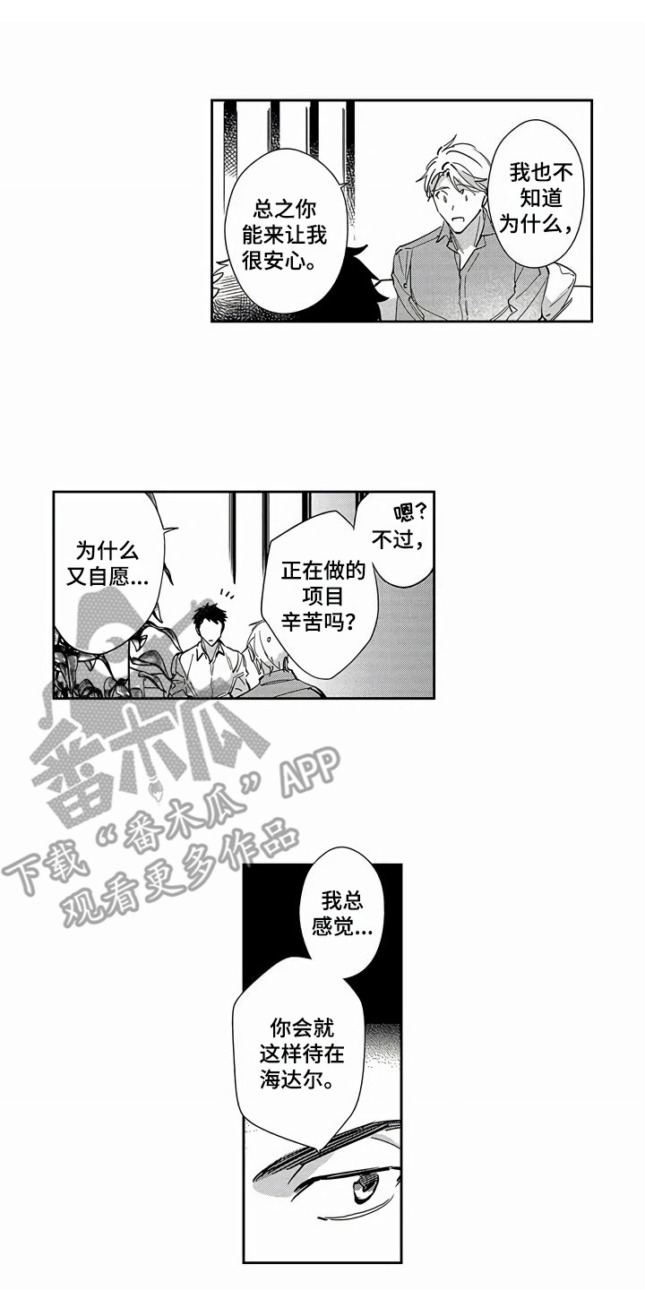 《琥珀色新娘》漫画最新章节第17章：欢迎会免费下拉式在线观看章节第【12】张图片