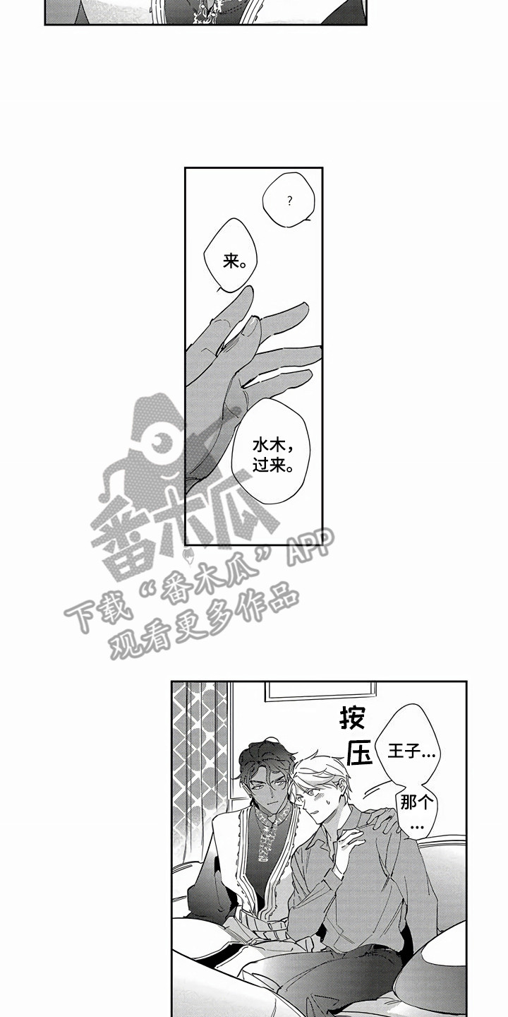 《琥珀色新娘》漫画最新章节第17章：欢迎会免费下拉式在线观看章节第【4】张图片