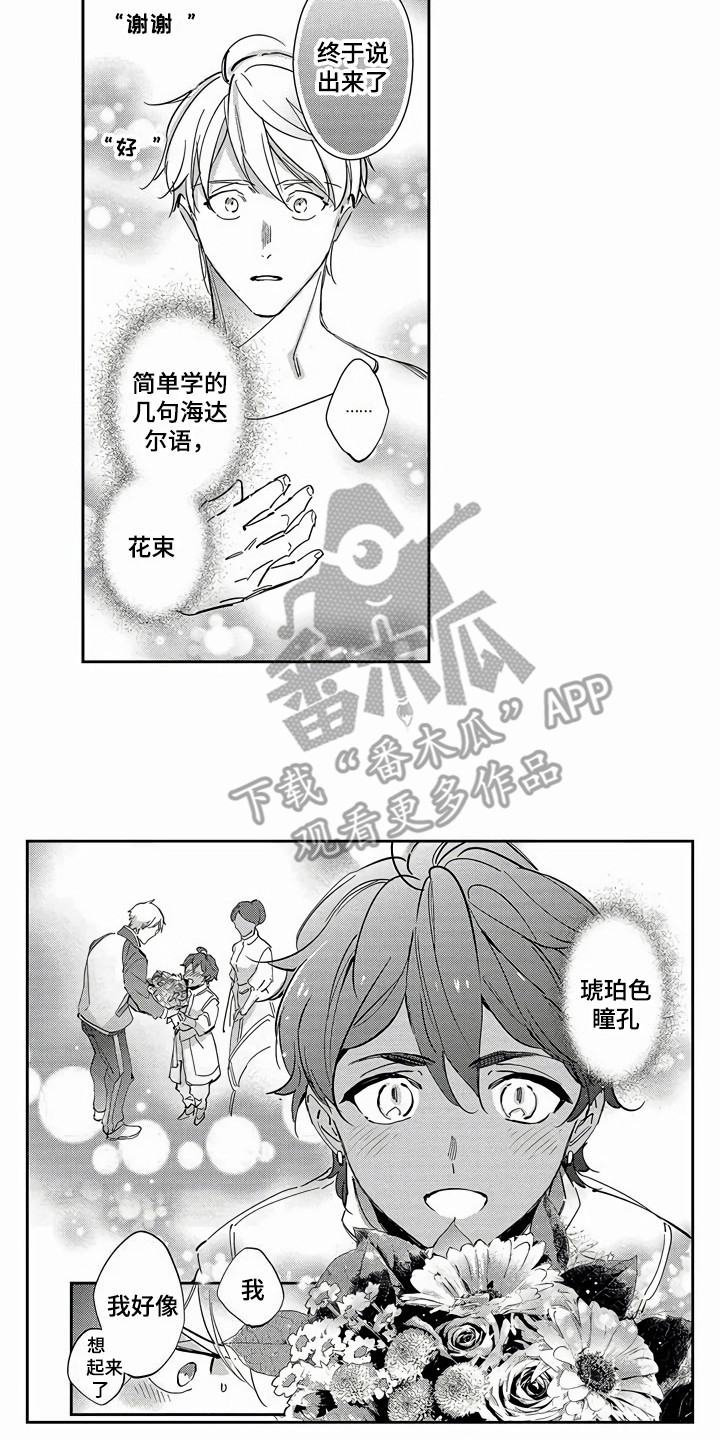 《琥珀色新娘》漫画最新章节第26章：命运的巧合（完结）免费下拉式在线观看章节第【4】张图片