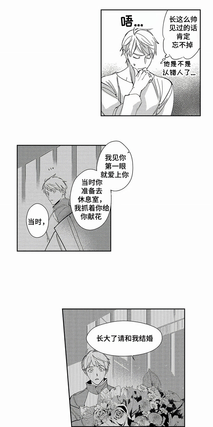 《琥珀色新娘》漫画最新章节第26章：命运的巧合（完结）免费下拉式在线观看章节第【9】张图片