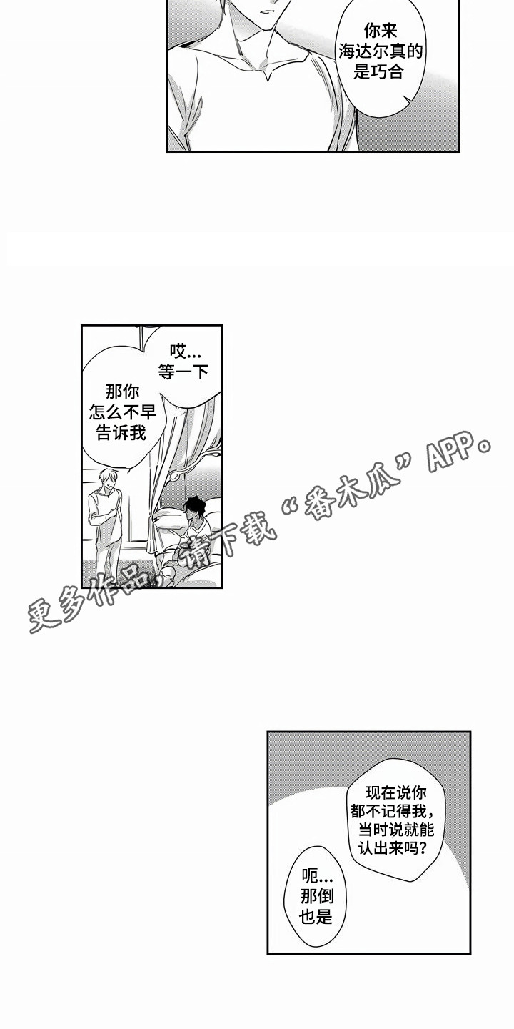 《琥珀色新娘》漫画最新章节第26章：命运的巧合（完结）免费下拉式在线观看章节第【6】张图片