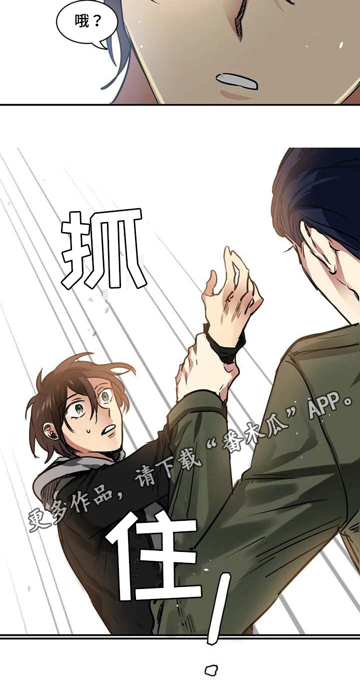 《人权统治》漫画最新章节第20章：建议免费下拉式在线观看章节第【1】张图片