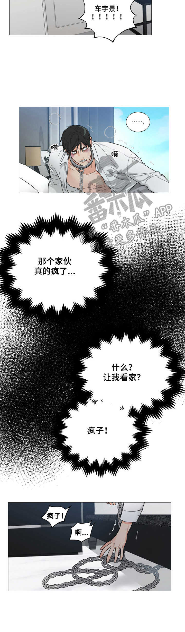 《囚笼之爱》漫画最新章节第6章：疯子免费下拉式在线观看章节第【5】张图片