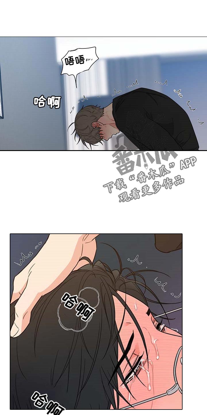 《囚笼之爱》漫画最新章节第25章：说谎免费下拉式在线观看章节第【5】张图片