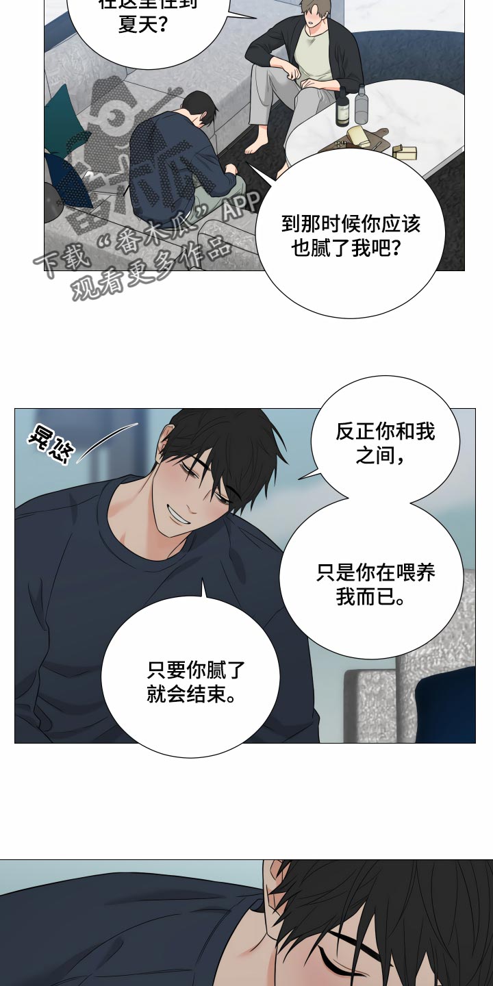 《囚笼之爱》漫画最新章节第34章：回到原点免费下拉式在线观看章节第【6】张图片