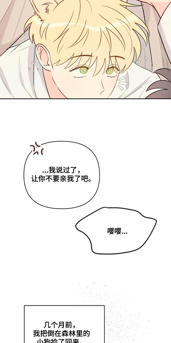 《海之言》漫画最新章节第100章：【番外】普通的小狗免费下拉式在线观看章节第【19】张图片