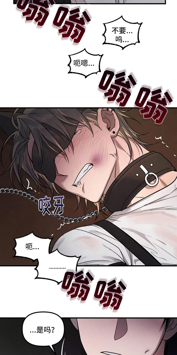 《狂攻公寓》漫画最新章节第59章：养狗：有趣免费下拉式在线观看章节第【5】张图片