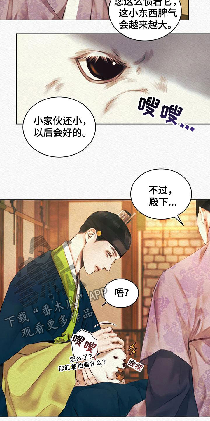 《阴语默录》漫画最新章节第19章：爱慕之情免费下拉式在线观看章节第【16】张图片