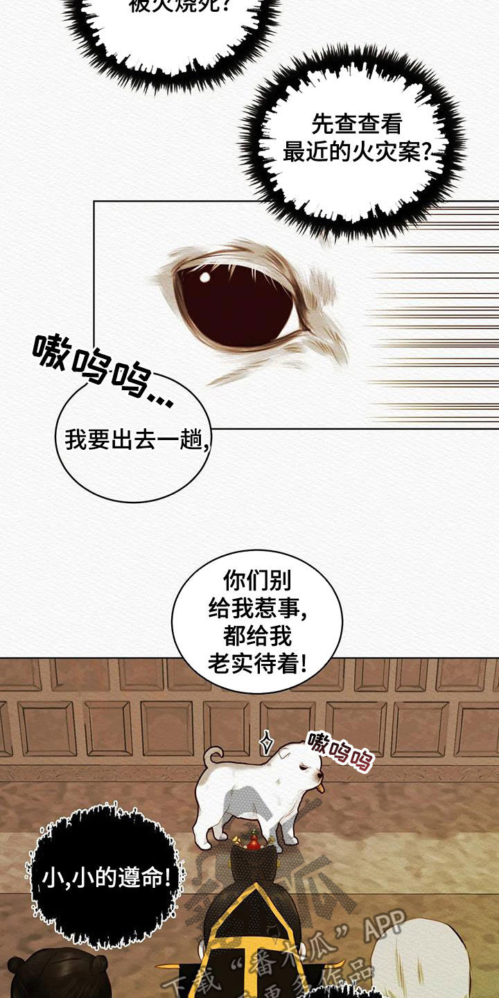 《阴语默录》漫画最新章节第26章：调查免费下拉式在线观看章节第【5】张图片