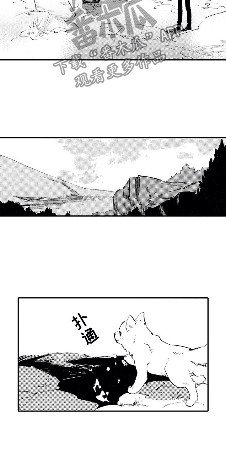 《狼人降临》漫画最新章节第12章：一起埋葬他免费下拉式在线观看章节第【7】张图片