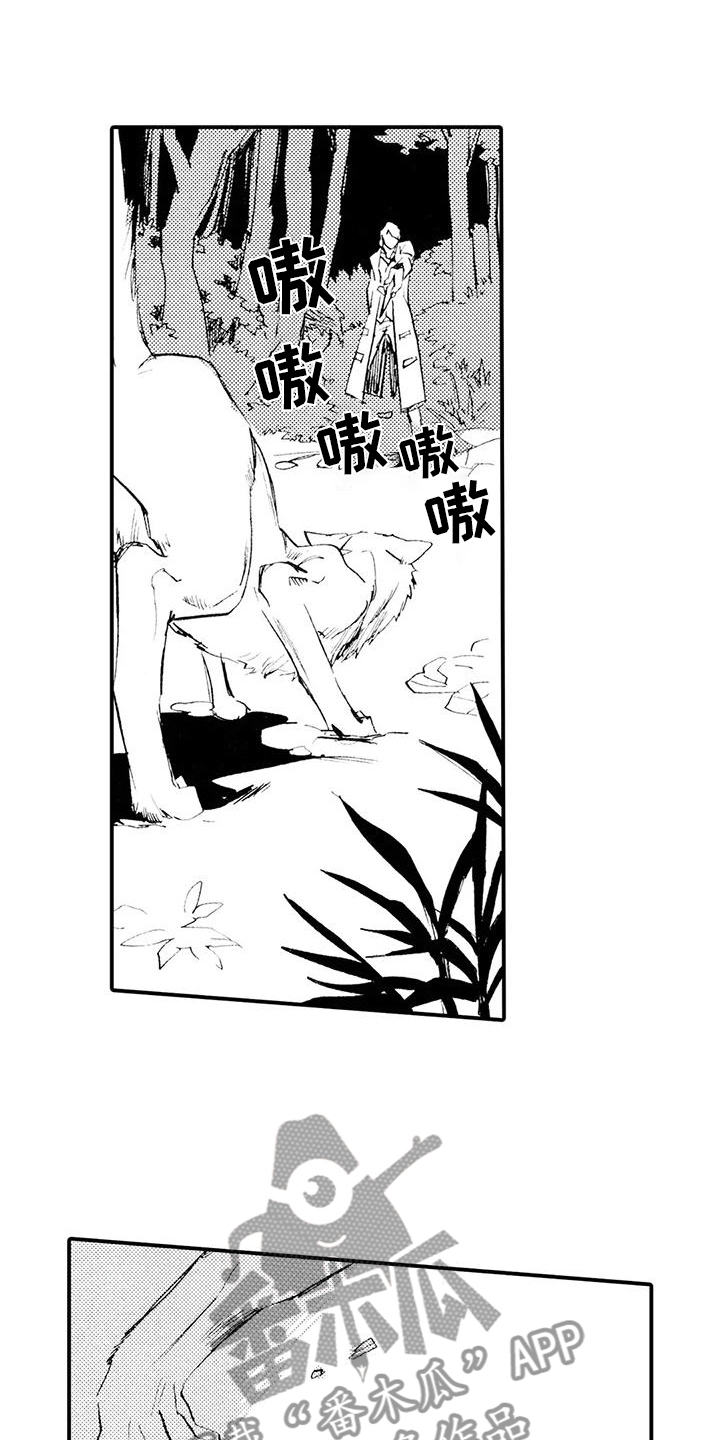 《狼人降临》漫画最新章节第13章：他说谎了免费下拉式在线观看章节第【11】张图片