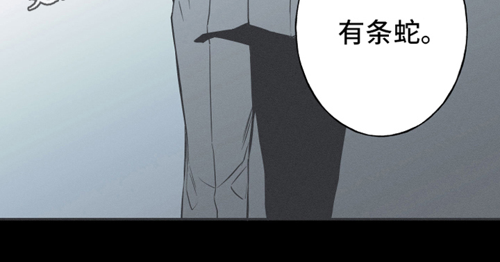 《蛇环凶危》漫画最新章节第5章：异常免费下拉式在线观看章节第【1】张图片