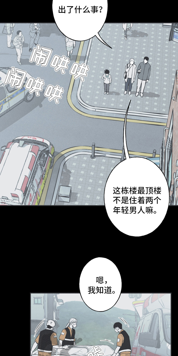 《蛇环凶危》漫画最新章节第6章：最终的结果免费下拉式在线观看章节第【10】张图片