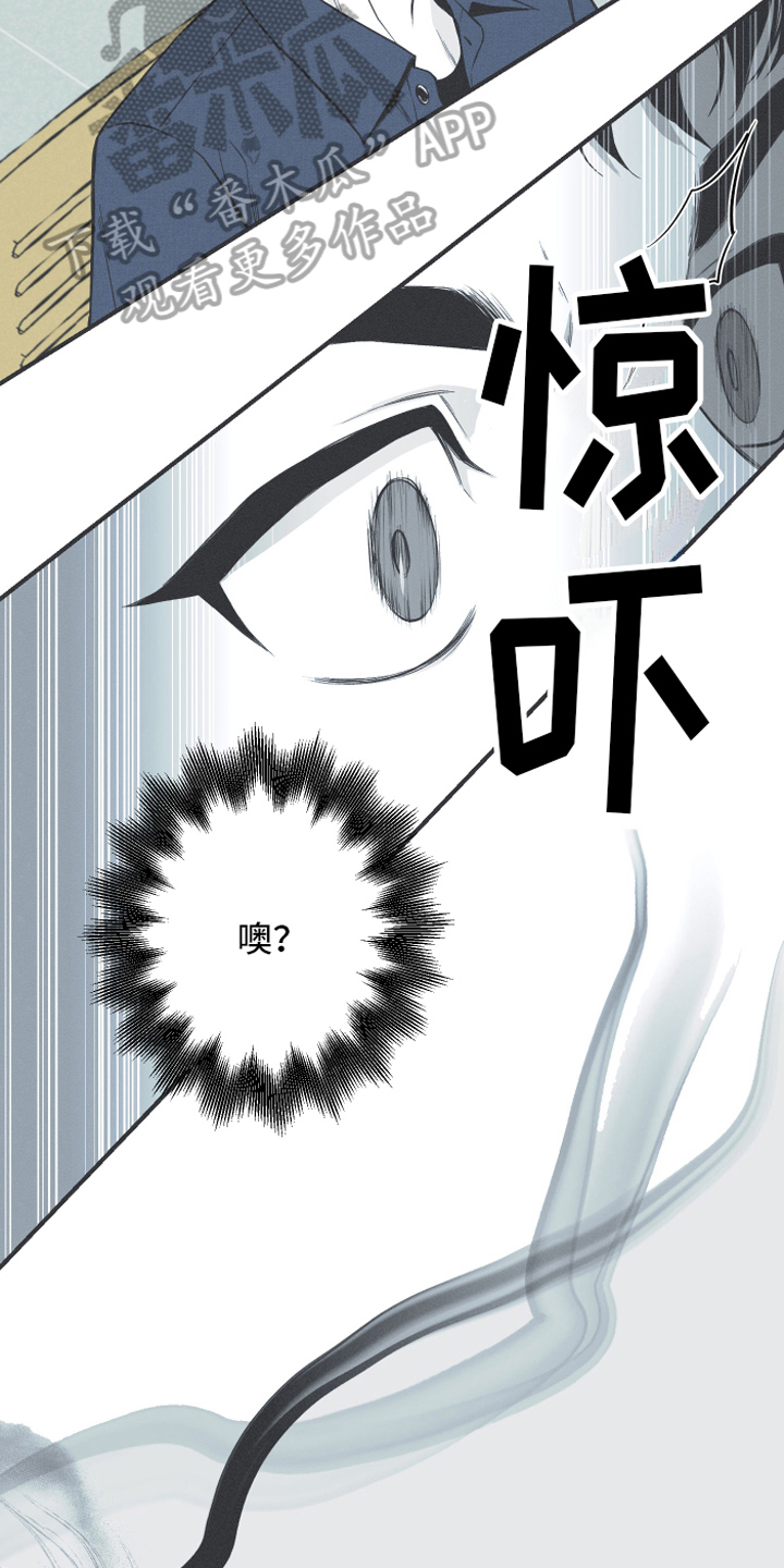 《蛇环凶危》漫画最新章节第7章：明了免费下拉式在线观看章节第【11】张图片