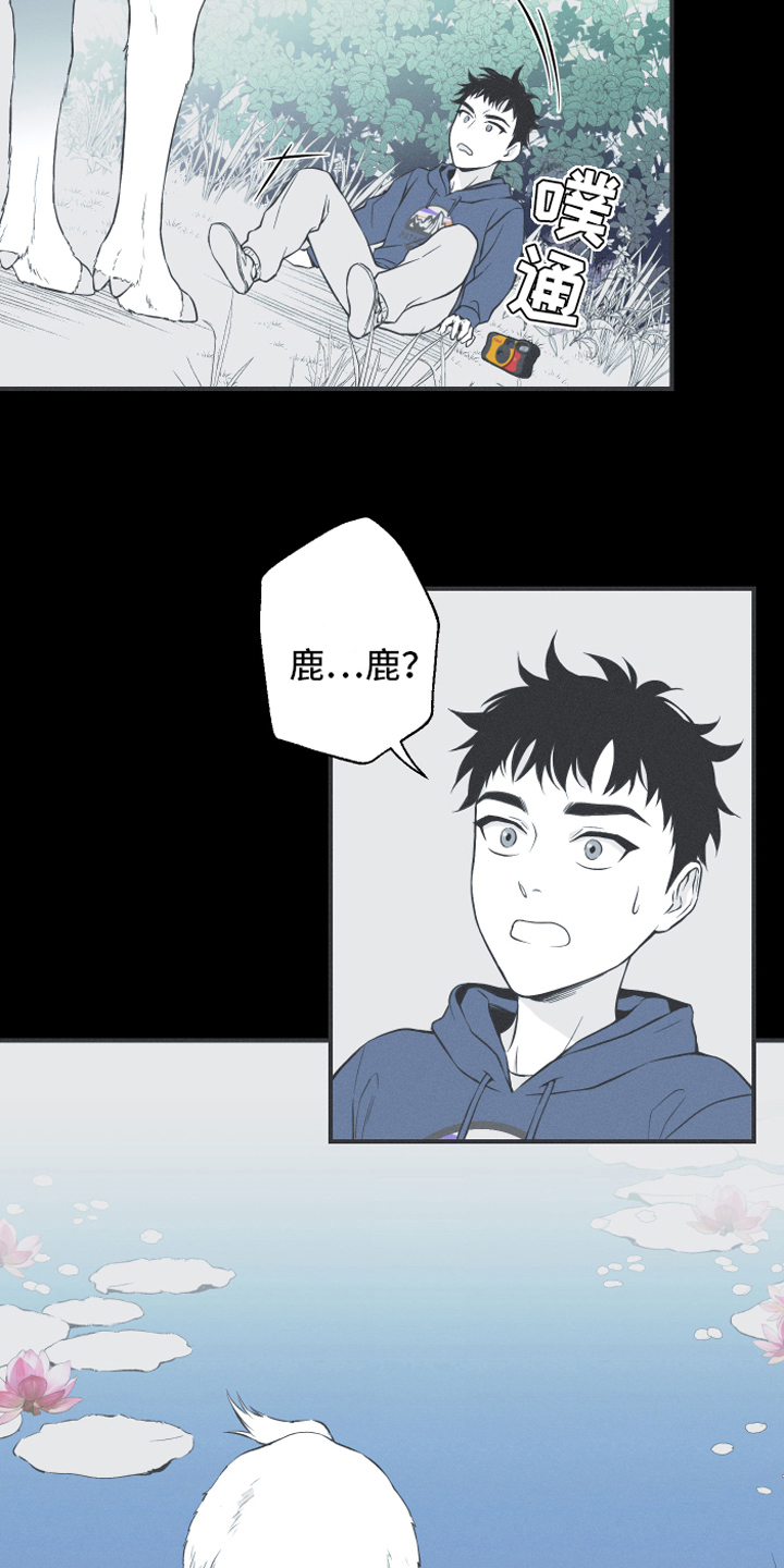 《蛇环凶危》漫画最新章节第18章：鹿妖免费下拉式在线观看章节第【11】张图片