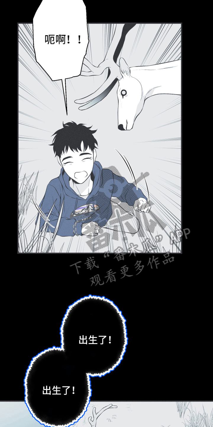 《蛇环凶危》漫画最新章节第18章：鹿妖免费下拉式在线观看章节第【8】张图片