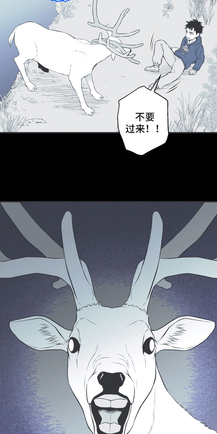 《蛇环凶危》漫画最新章节第18章：鹿妖免费下拉式在线观看章节第【7】张图片