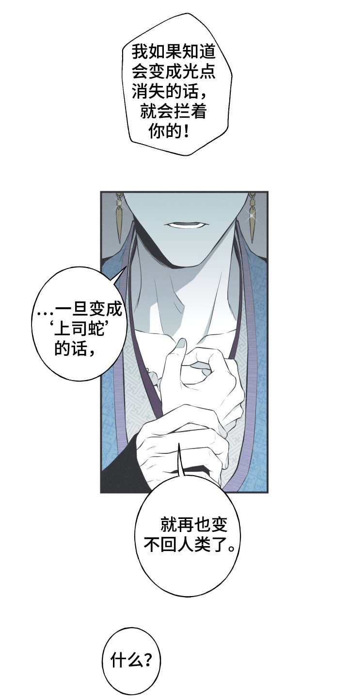 《蛇环凶危》漫画最新章节第24章：复原免费下拉式在线观看章节第【19】张图片