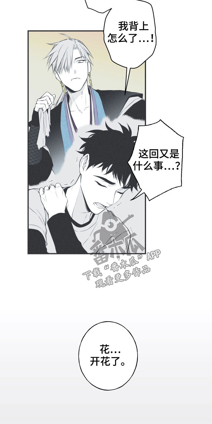 《蛇环凶危》漫画最新章节第26章：莲花盛开免费下拉式在线观看章节第【3】张图片