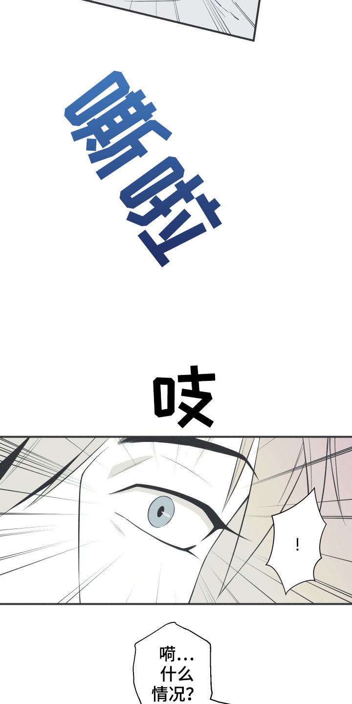 《蛇环凶危》漫画最新章节第26章：莲花盛开免费下拉式在线观看章节第【4】张图片