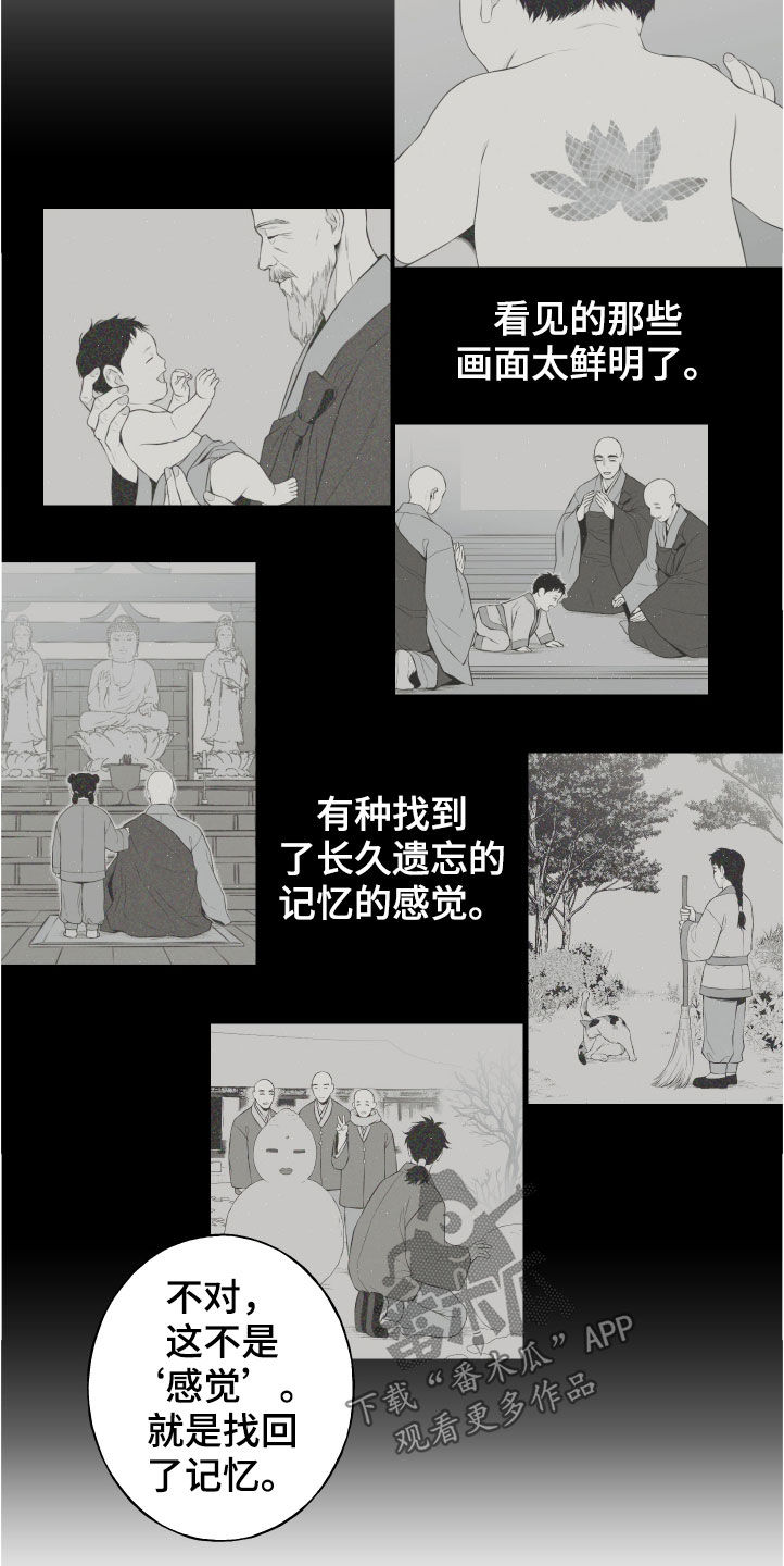 《蛇环凶危》漫画最新章节第28章：戒律免费下拉式在线观看章节第【5】张图片