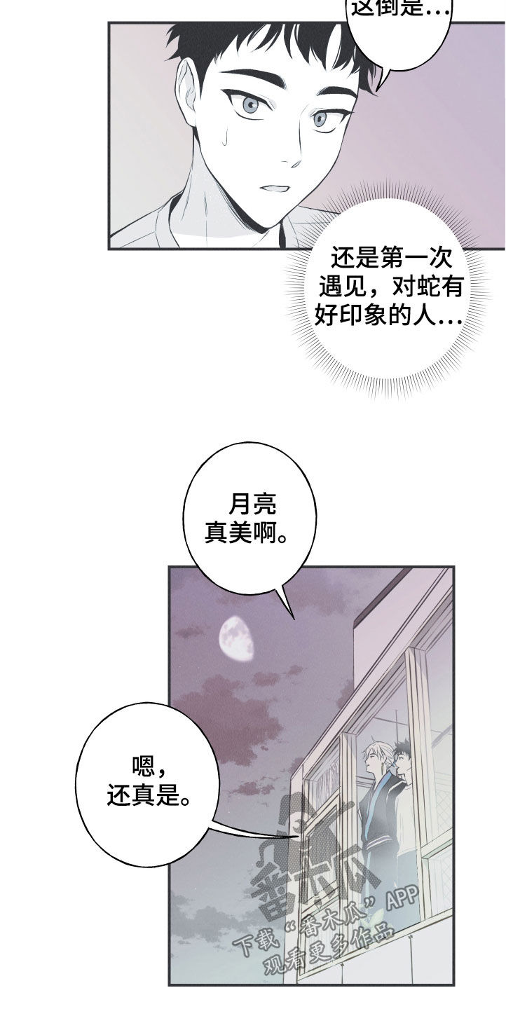 《蛇环凶危》漫画最新章节第28章：戒律免费下拉式在线观看章节第【11】张图片