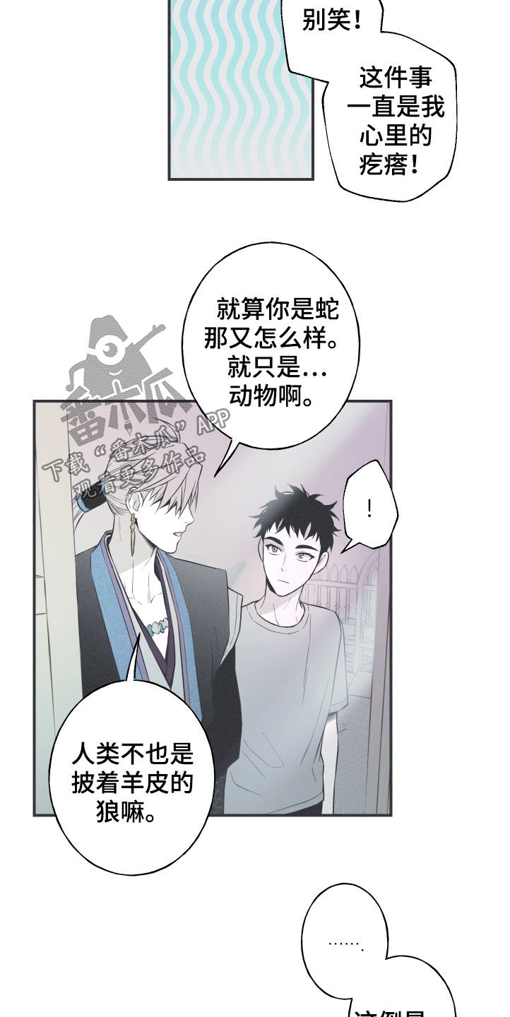 《蛇环凶危》漫画最新章节第28章：戒律免费下拉式在线观看章节第【12】张图片