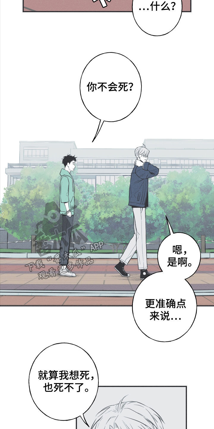 《蛇环凶危》漫画最新章节第29章：不死不灭免费下拉式在线观看章节第【4】张图片