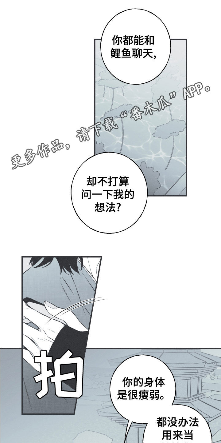 《蛇环凶危》漫画最新章节第46章：喜欢免费下拉式在线观看章节第【20】张图片