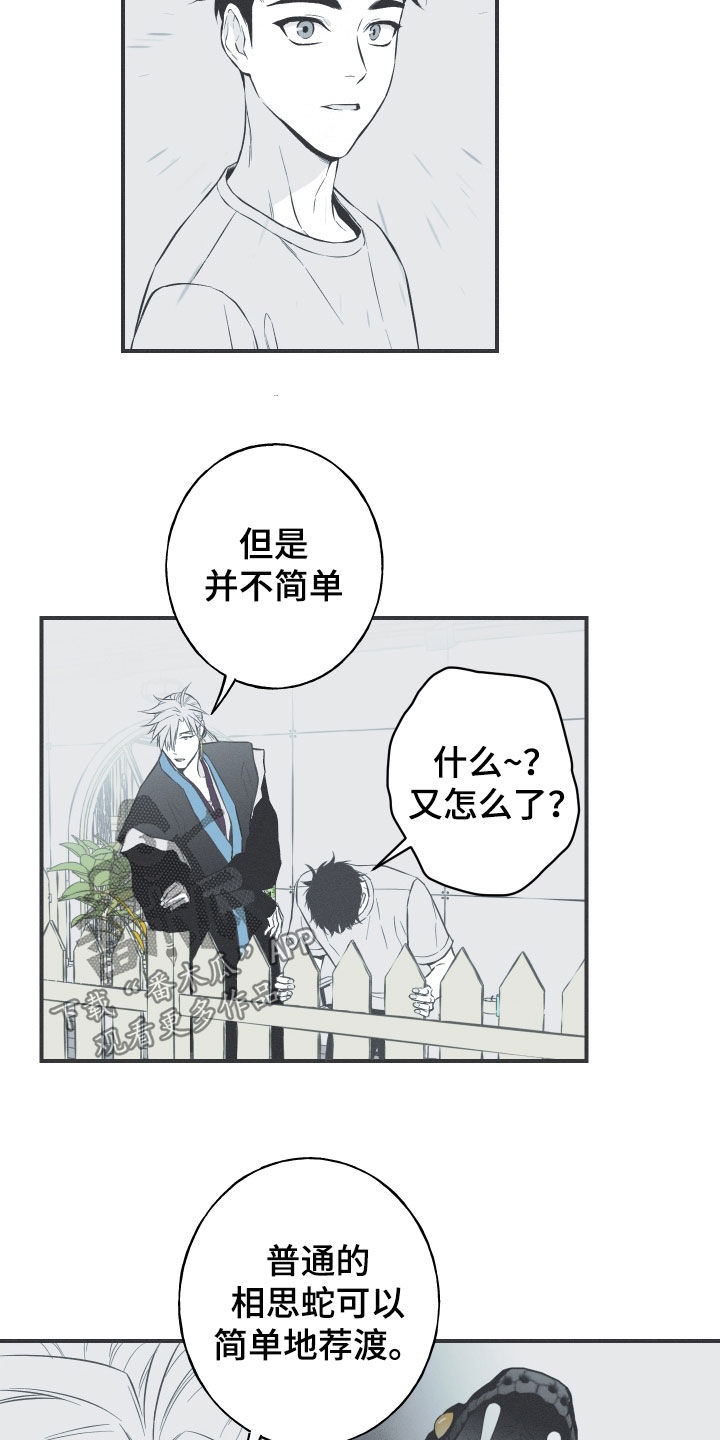 《蛇环凶危》漫画最新章节第56章：缓解相思（第一季完结）免费下拉式在线观看章节第【16】张图片