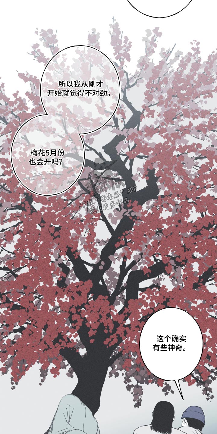 《蛇环凶危》漫画最新章节第57章：【第二季】落地免费下拉式在线观看章节第【13】张图片