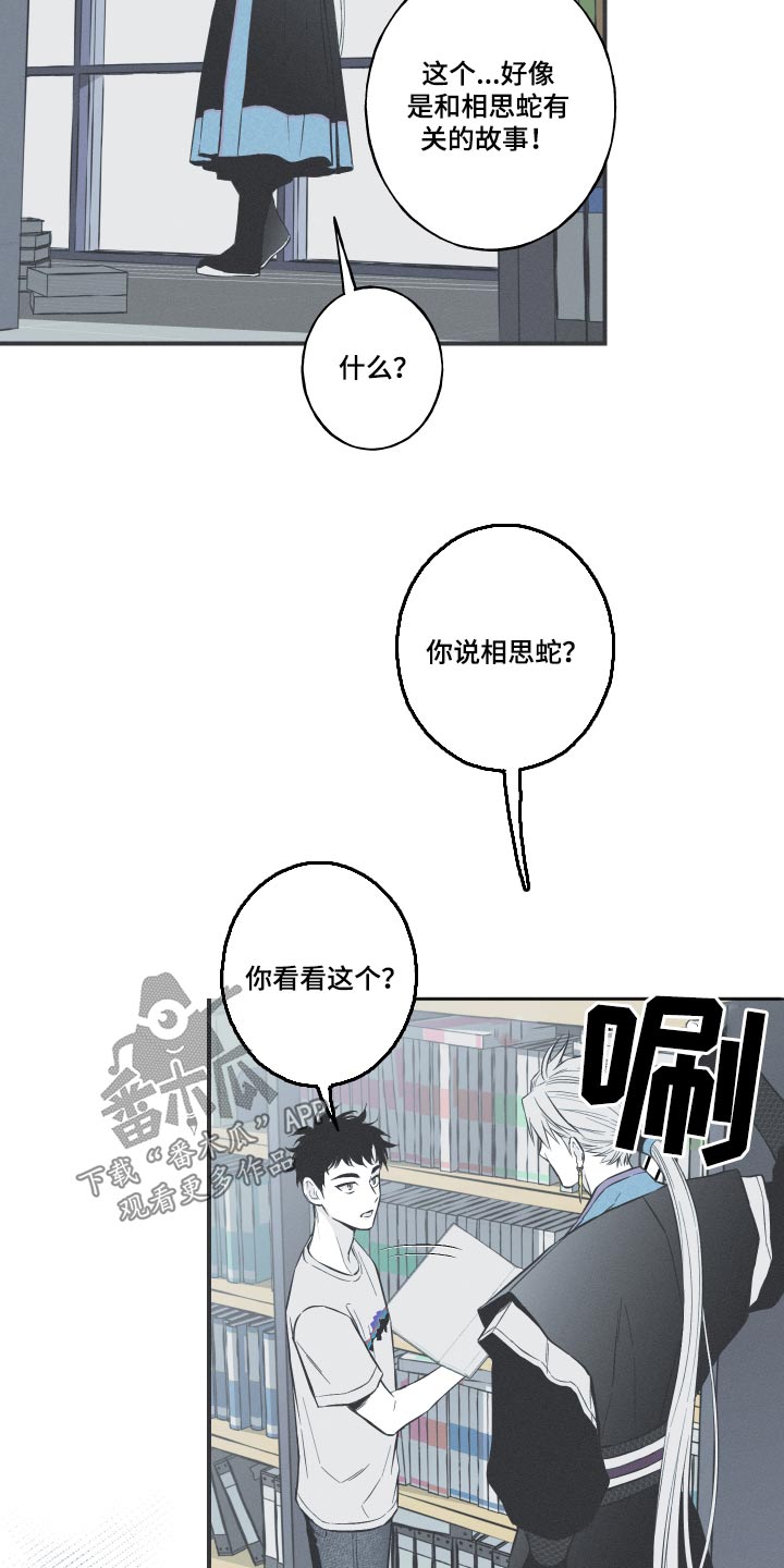 《蛇环凶危》漫画最新章节第61章：【第二季】很像免费下拉式在线观看章节第【16】张图片