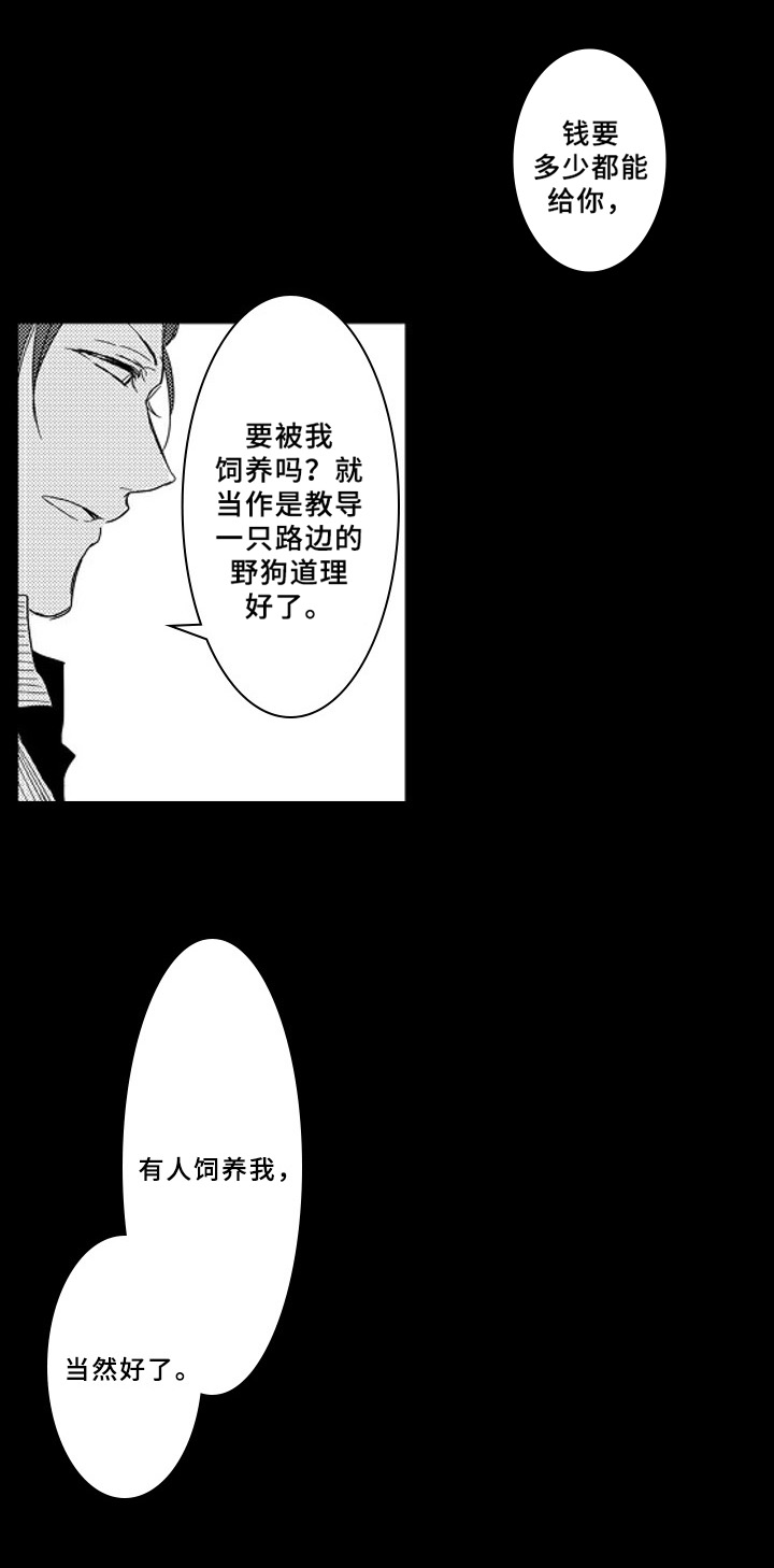 《甜蜜的垃圾》漫画最新章节第3章：收留免费下拉式在线观看章节第【5】张图片