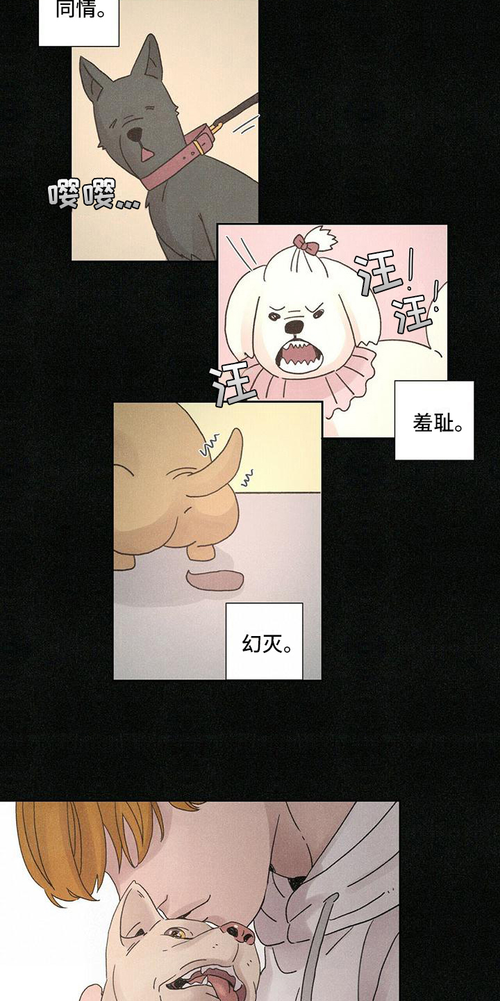 《爱情深渊》漫画最新章节第1章：不能放弃的爱免费下拉式在线观看章节第【12】张图片