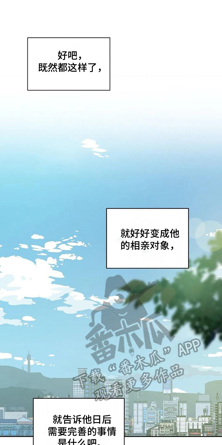 《公私分明》漫画最新章节第24章：决心免费下拉式在线观看章节第【4】张图片