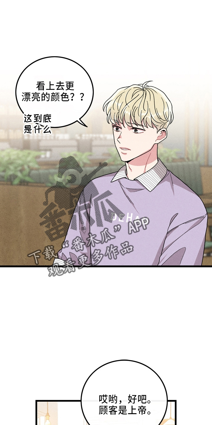 《可爱铃铛》漫画最新章节第65章：【第二季】逃来的免费下拉式在线观看章节第【31】张图片