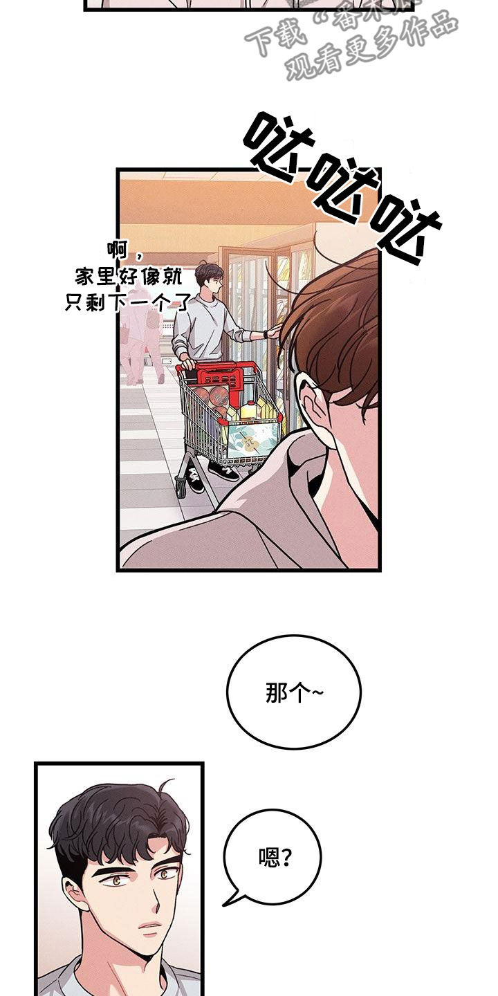 可爱铃铛-第109章：【第二季】看到又怎样全彩韩漫标签