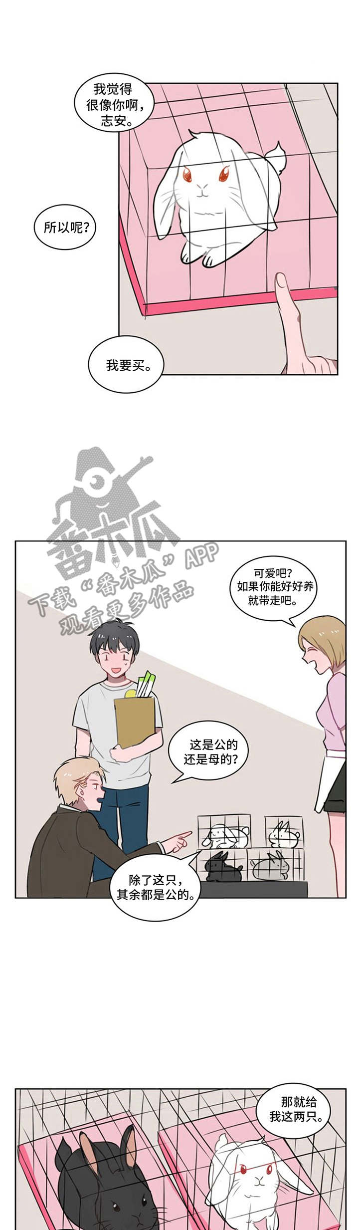 《快递送来爱》漫画最新章节第13章：好感上升免费下拉式在线观看章节第【11】张图片