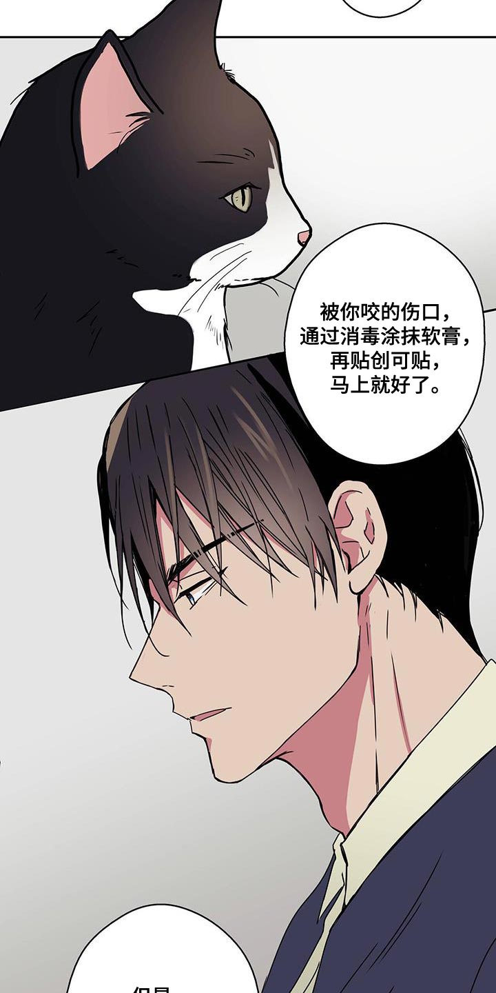 《幸运信用》漫画最新章节第58章：注意事项免费下拉式在线观看章节第【6】张图片