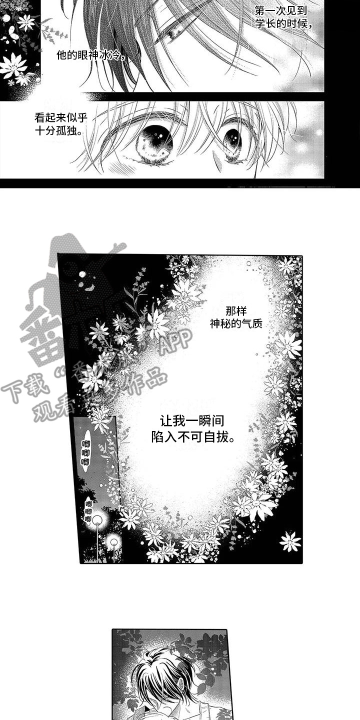 《吞食记忆》漫画最新章节第11章：食物免费下拉式在线观看章节第【5】张图片