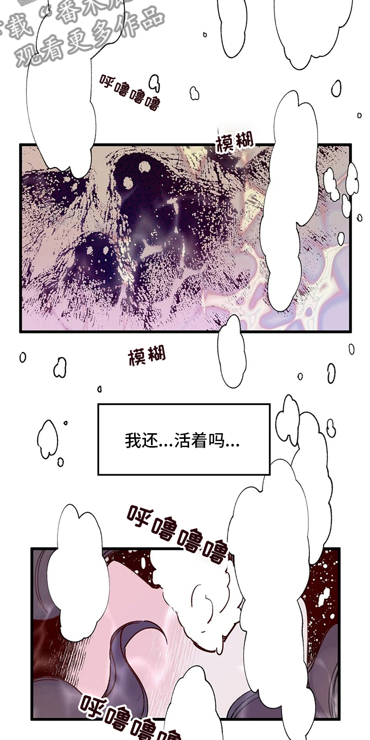 《宫廷杀机》漫画最新章节第68章：污点免费下拉式在线观看章节第【12】张图片