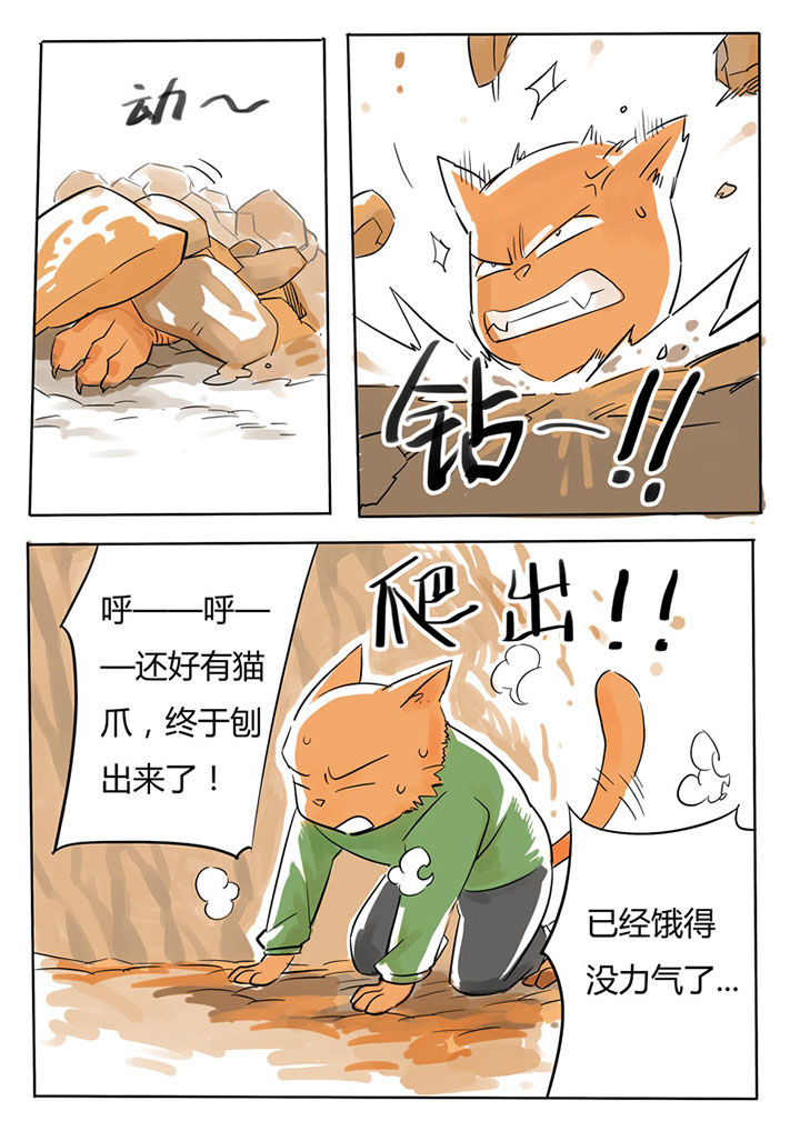 《胶囊战记》漫画最新章节第62章：免费下拉式在线观看章节第【7】张图片