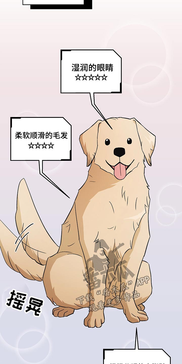 爱犬与我-第33章：药物全彩韩漫标签