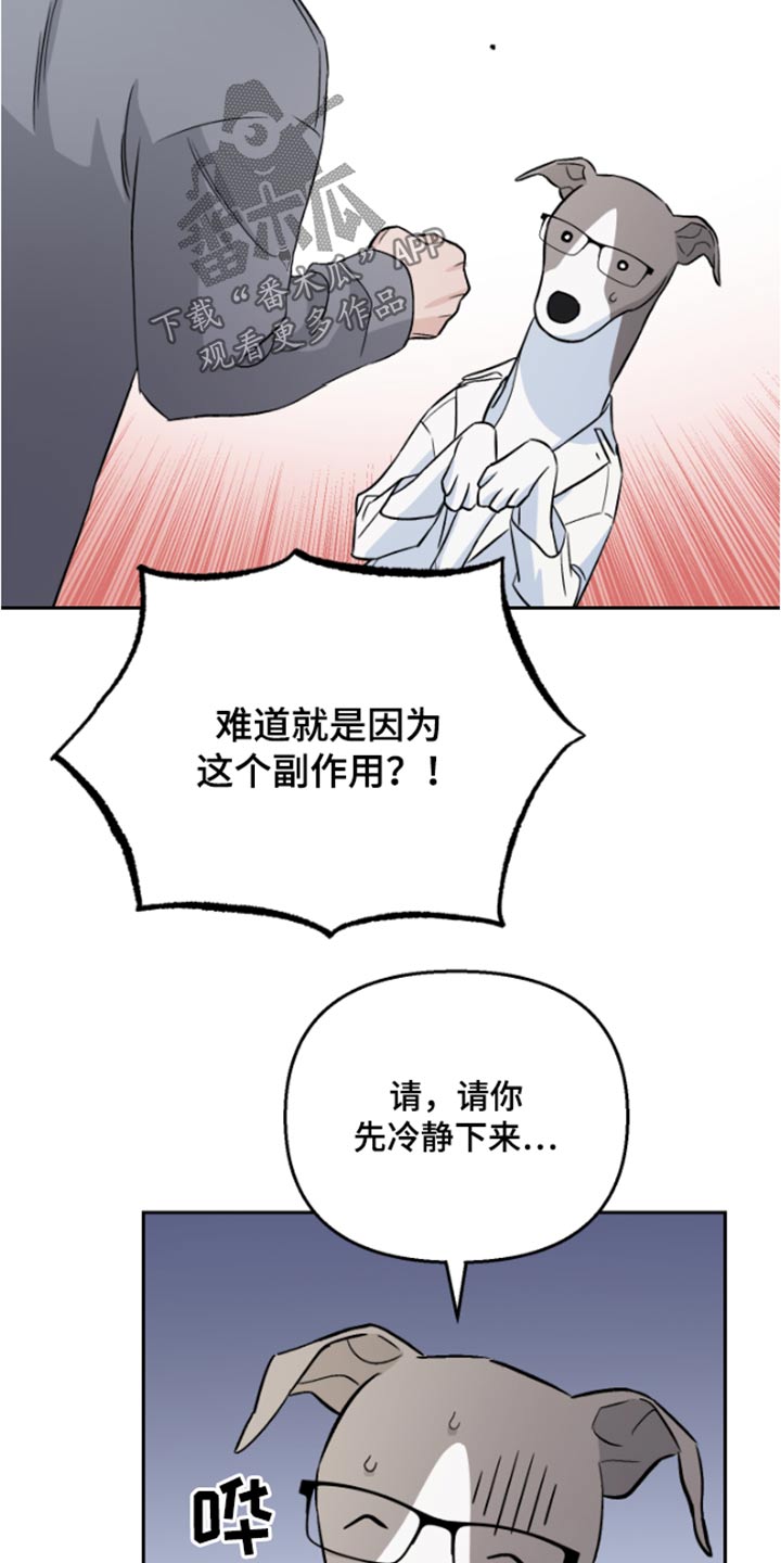 《爱犬与我》漫画最新章节第38章：药物免费下拉式在线观看章节第【9】张图片